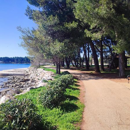 Apartments Novigrad Novigrad Istria 外观 照片