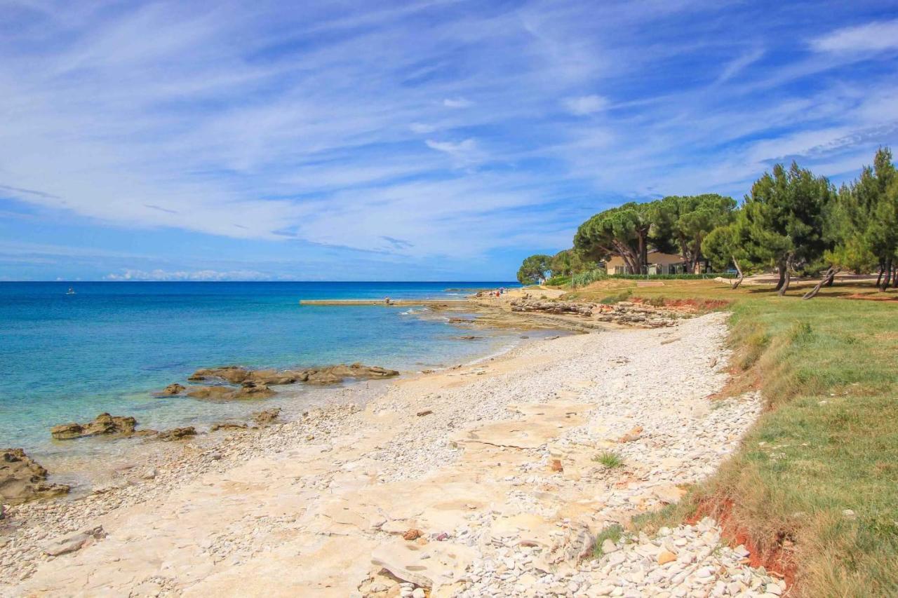 Apartments Novigrad Novigrad Istria 外观 照片