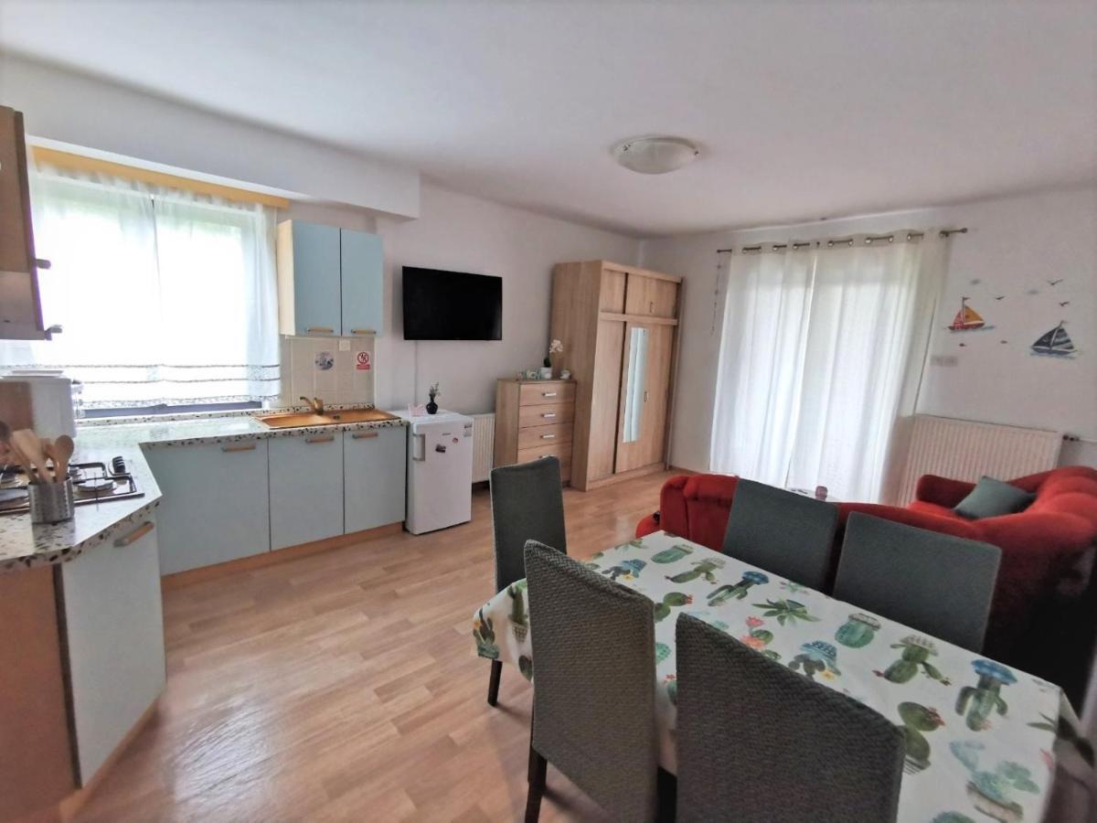 Apartments Novigrad Novigrad Istria 外观 照片