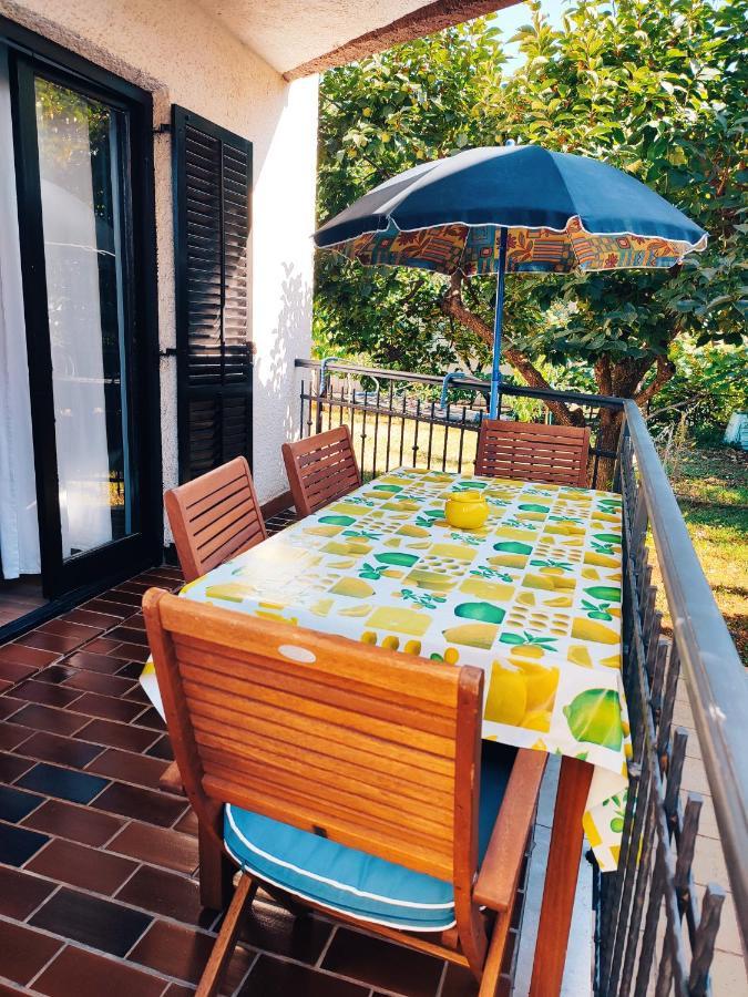 Apartments Novigrad Novigrad Istria 外观 照片
