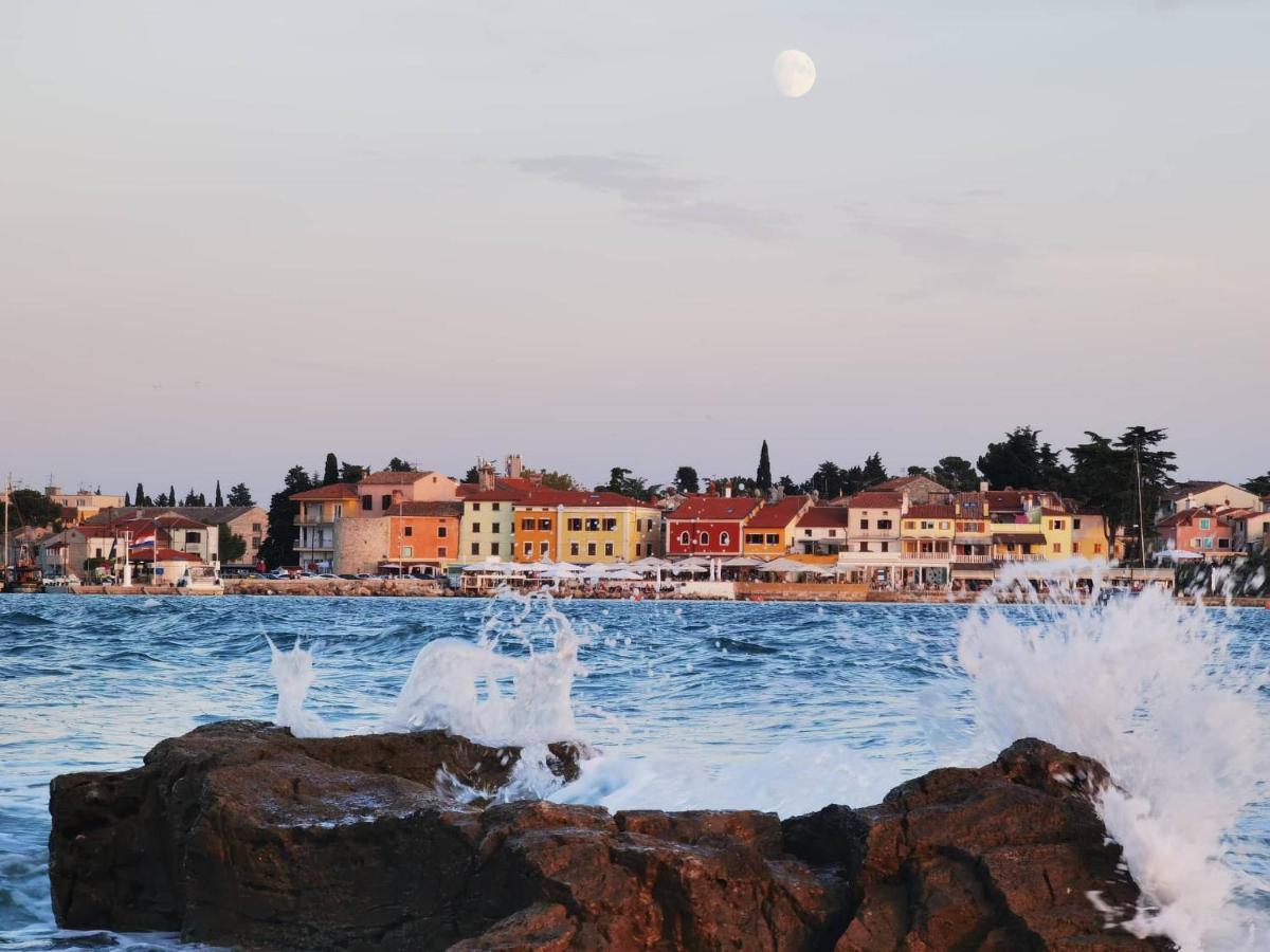 Apartments Novigrad Novigrad Istria 外观 照片