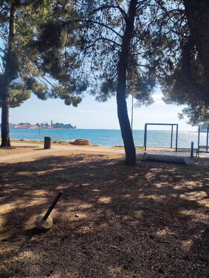 Apartments Novigrad Novigrad Istria 外观 照片