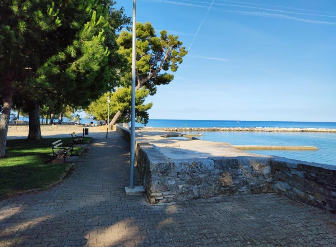 Apartments Novigrad Novigrad Istria 外观 照片