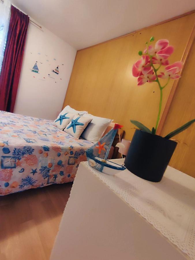 Apartments Novigrad Novigrad Istria 外观 照片